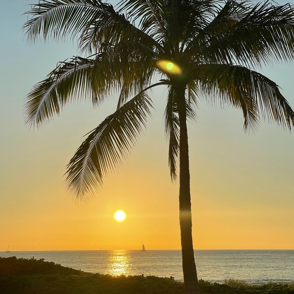 pualei1234
